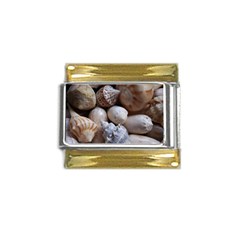 Beautiful Seashells  Gold Trim Italian Charm (9mm)