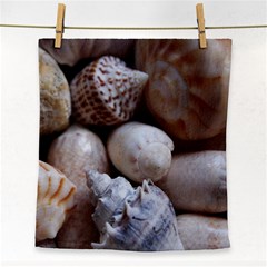 Beautiful Seashells  Face Towel by StarvingArtisan