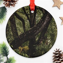 Botanical Motif Trees Detail Photography Ornament (round)