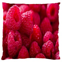 Raspberries Standard Premium Plush Fleece Cushion Case (two Sides) by artworkshop