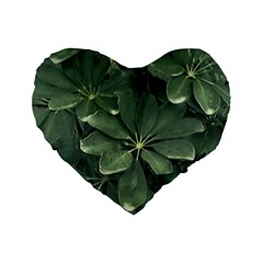 Leaves Closeup Background Photo1 Standard 16  Premium Heart Shape Cushions by dflcprintsclothing