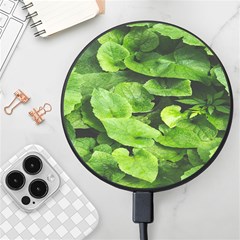 Layered Plant Leaves Iphone Wallpaper Wireless Fast Charger(black) by artworkshop