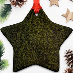 Green Grunge Background Star Ornament (two Sides)