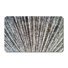 Light Cloud Magnet (rectangular) by artworkshop