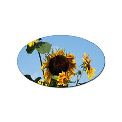 Sunflower Flower Yellow Sticker Oval (10 Pack)