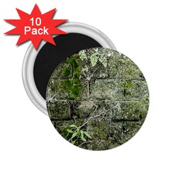 Old Stone Exterior Wall With Moss 2 25  Magnets (10 Pack)  by dflcprintsclothing