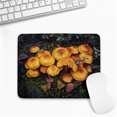 Orange Mushrooms In Patagonia Forest, Ushuaia, Argentina Small Mousepad by dflcprintsclothing