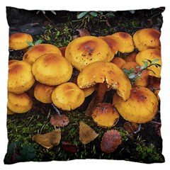 Orange Mushrooms In Patagonia Forest, Ushuaia, Argentina Large Cushion Case (two Sides) by dflcprintsclothing