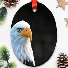 Bird Oval Ornament (two Sides)