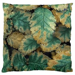 Colored Close Up Plants Leaves Pattern Large Cushion Case (two Sides) by dflcprintsclothing