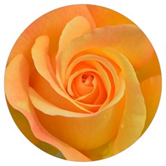 Flower Plant Rose Nature Garden Orange Macro Round Trivet by Ravend