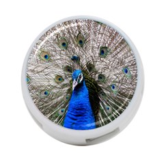 Peacock Bird Animal Feather Nature Colorful 4-port Usb Hub (two Sides)