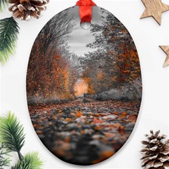 Breathe In Nature Background Oval Ornament (two Sides)