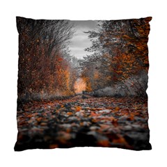 Breathe In Nature Background Standard Cushion Case (two Sides)