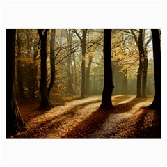 Autumn Nature Woodland Woods Trees Large Glasses Cloth