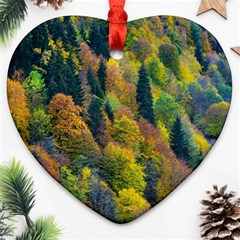 Forest Trees Leaves Fall Autumn Nature Sunshine Heart Ornament (two Sides) by Ravend