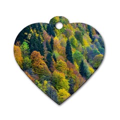 Forest Trees Leaves Fall Autumn Nature Sunshine Dog Tag Heart (two Sides) by Ravend