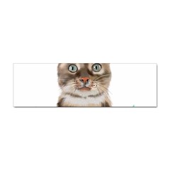 Watercolor Cat Sticker Bumper (10 Pack) by SychEva