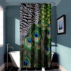 Peacock Bird Feather Colourful Shower Curtain 36  X 72  (stall) 