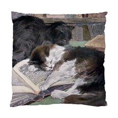 Library Cats Satiny Throw Pillow Case by VintageKitty