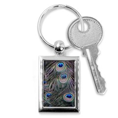 Peacock Feathers Peacock Bird Feathers Key Chain (rectangle)