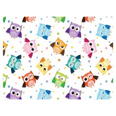 Owl Bird Two Sides Premium Plush Fleece Blanket (extra Small)