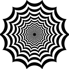 Spider Web Hypnotic Play Mat (rectangle) by Amaryn4rt