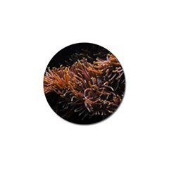 Sea Anemone Coral Underwater Ocean Sea Water Golf Ball Marker (4 Pack)