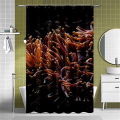 Sea Anemone Coral Underwater Ocean Sea Water Shower Curtain 48  X 72  (small)  by pakminggu