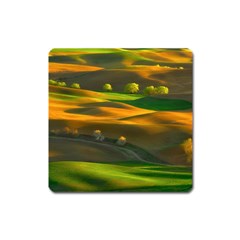 Landscape Usa Nature Washington State Trees Field Palouse Square Magnet by Bakwanart