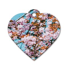 Nature Beautiful Rainbow Dog Tag Heart (one Side)