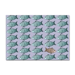 Fishes Pattern Background Theme Art Sticker A4 (100 Pack)