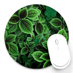 Shanghai Botanical Garden Round Mousepad by Cowasu