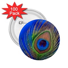 Blue Peacock Feather 2 25  Buttons (100 Pack) 