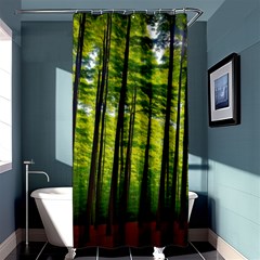 Green Forest Jungle Trees Nature Sunny Shower Curtain 36  X 72  (stall) 