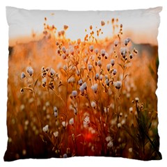 Late Afternoon Standard Premium Plush Fleece Cushion Case (two Sides)