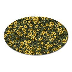 Sunflowers Yellow Flowers Flowers Digital Drawing Oval Magnet by Simbadda