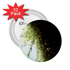 Branch Plant Shrub Green Natural 2 25  Buttons (10 Pack)  by Grandong