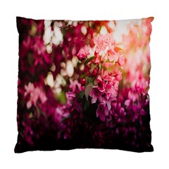 Pink Flower Standard Cushion Case (two Sides)