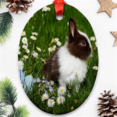 Rabbit Oval Ornament (two Sides)