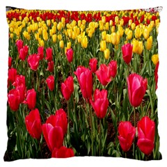 Yellow Pink Red Flowers Large Premium Plush Fleece Cushion Case (two Sides)