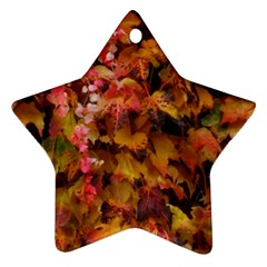 Red And Yellow Ivy  Star Ornament (two Sides) by okhismakingart