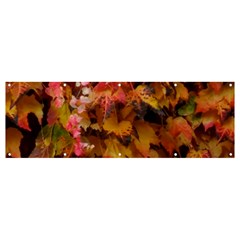 Red And Yellow Ivy  Banner And Sign 12  X 4  by okhismakingart