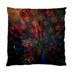 Peacock Feather Bird Standard Cushion Case (one Side) by Bedest