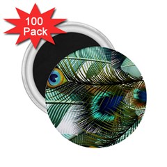 Peacock Feathers 2 25  Magnets (100 Pack)  by Bedest