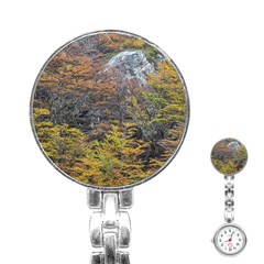 Wilderness Palette, Tierra Del Fuego Forest Landscape, Argentina Stainless Steel Nurses Watch by dflcprintsclothing