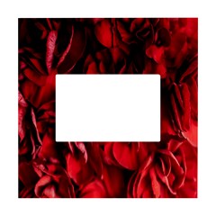 Followers,maroon,rose,roses White Box Photo Frame 4  X 6  by nateshop