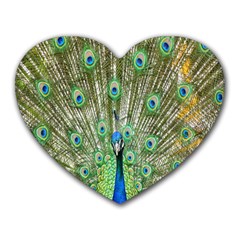 Peacock,army 1 Heart Mousepad