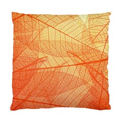 Abstract Texture Of Colorful Bright Pattern Transparent Leaves Orange And Yellow Color Standard Cushion Case (one Side) by Grandong