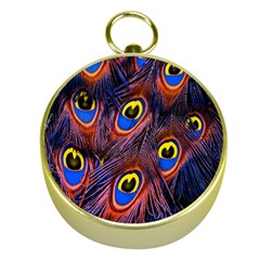 Peacock-feathers,blue,yellow Gold Compasses by nateshop